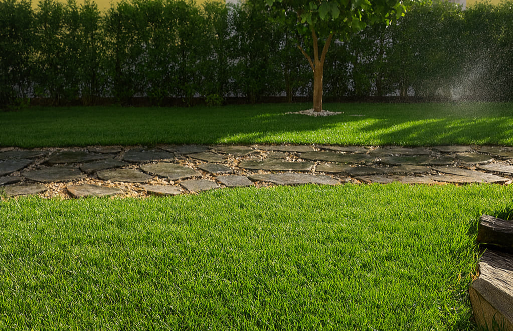 Uređenje vrta i hortikultura